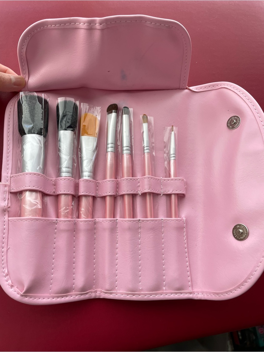 Makeup Brush Set in Pink Leather Case New Have never used